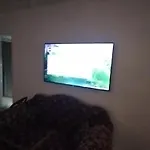 شقه مودرن